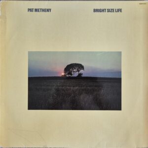 Pat Metheny ‎– Bright Size Life