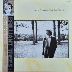 David Sylvian – Brilliant Trees / Japan