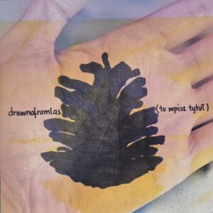 drewnofromlas ‎– (Tu Wpisz Tytuł)