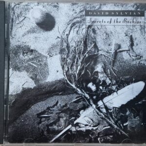 David Sylvian – Secrets Of The Beehive (UK)